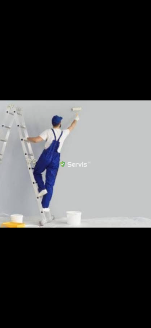 servis.ge სარემონტოსამღებრო სამუშაოები