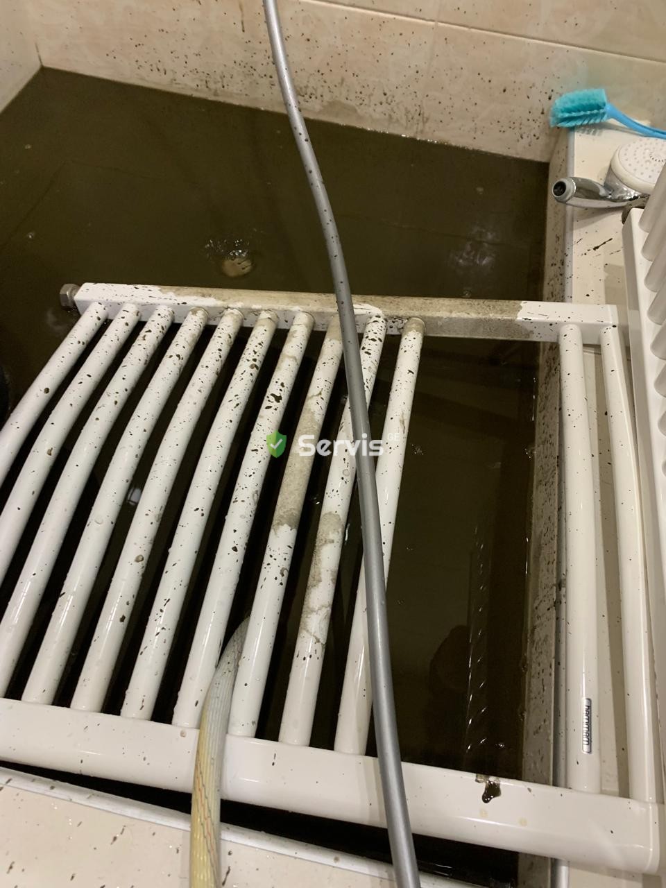 გამორეცხვა რადიატორის