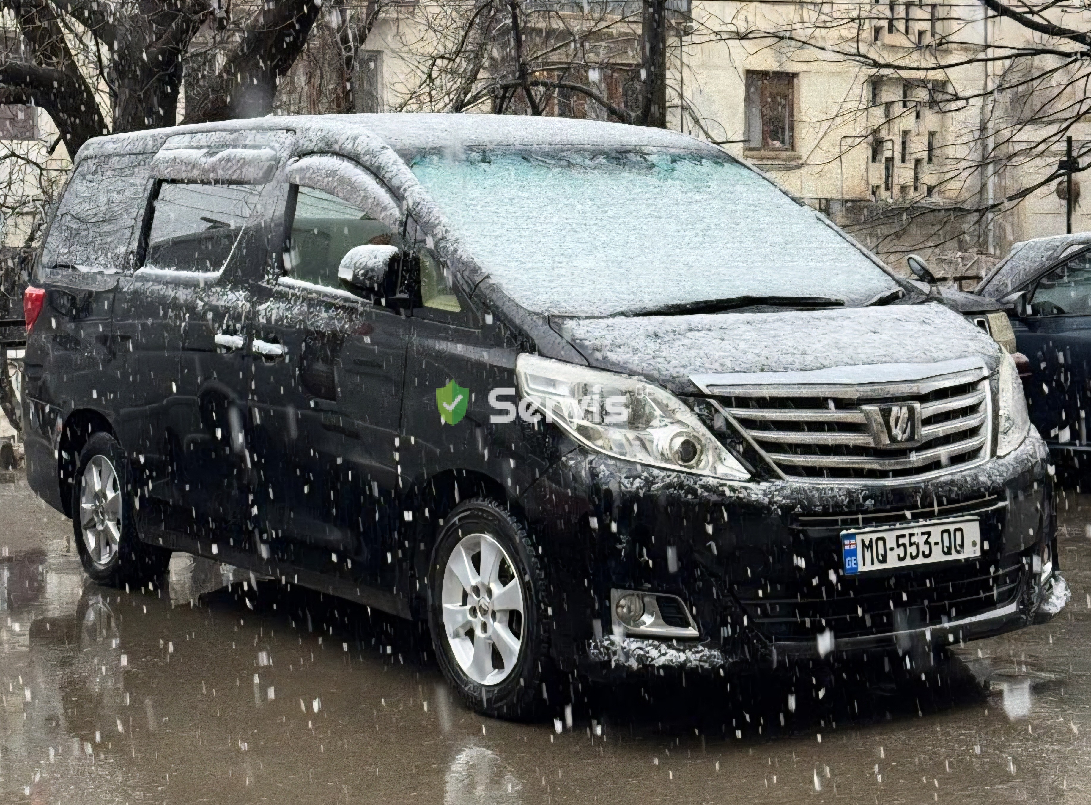 მინივენით მომსახურეობა